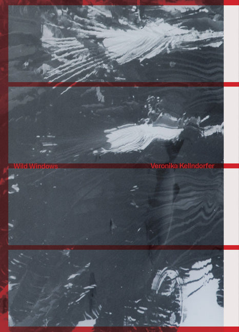 Veronika Kellndorfer: Wild Windows Spector Books